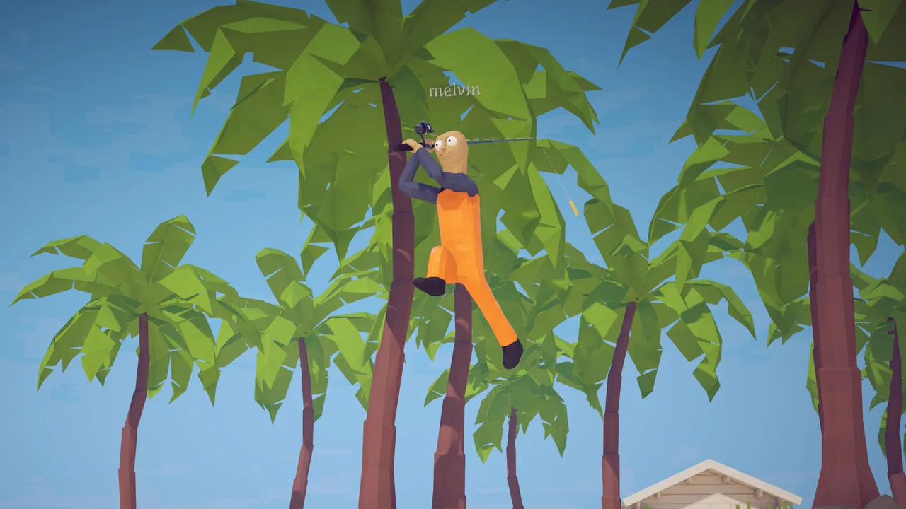 Climbing a palm tree with the rod in hand — a later-island fishing spot
